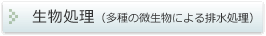 生物処理（多数の微生物による排水処理）